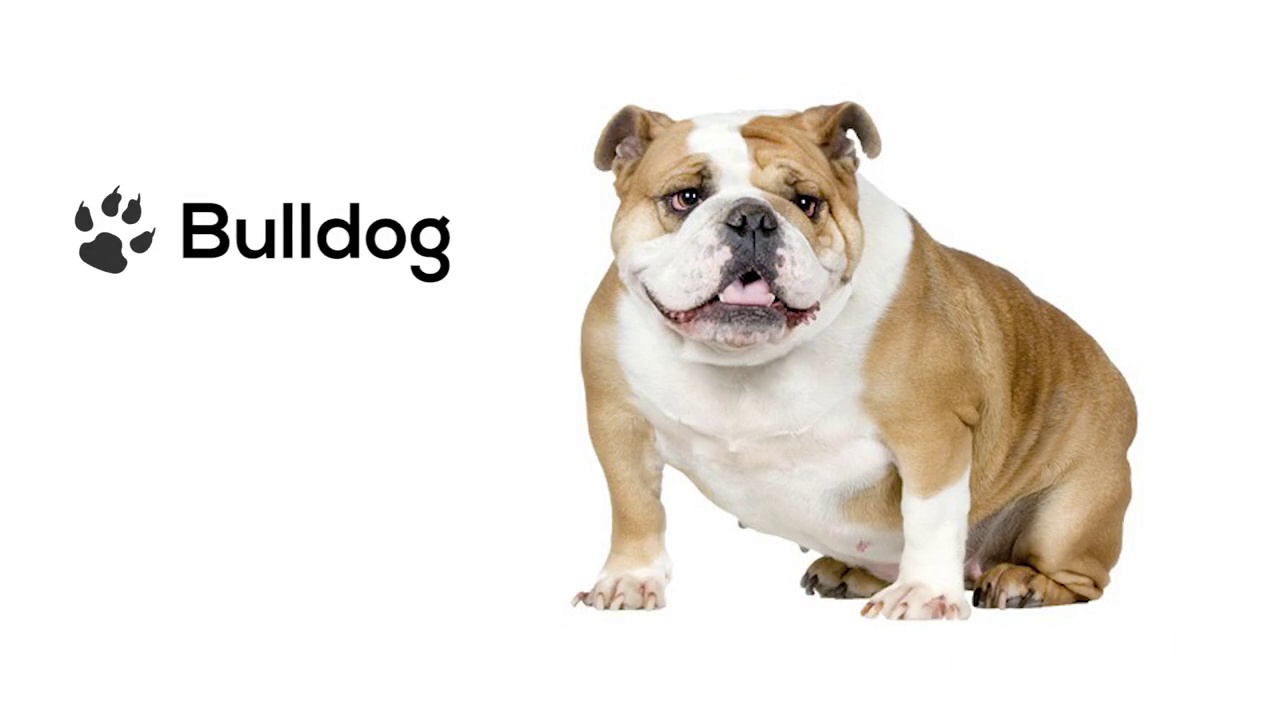 Image Guided 2
